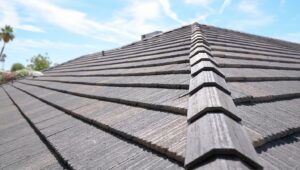 Blog 3