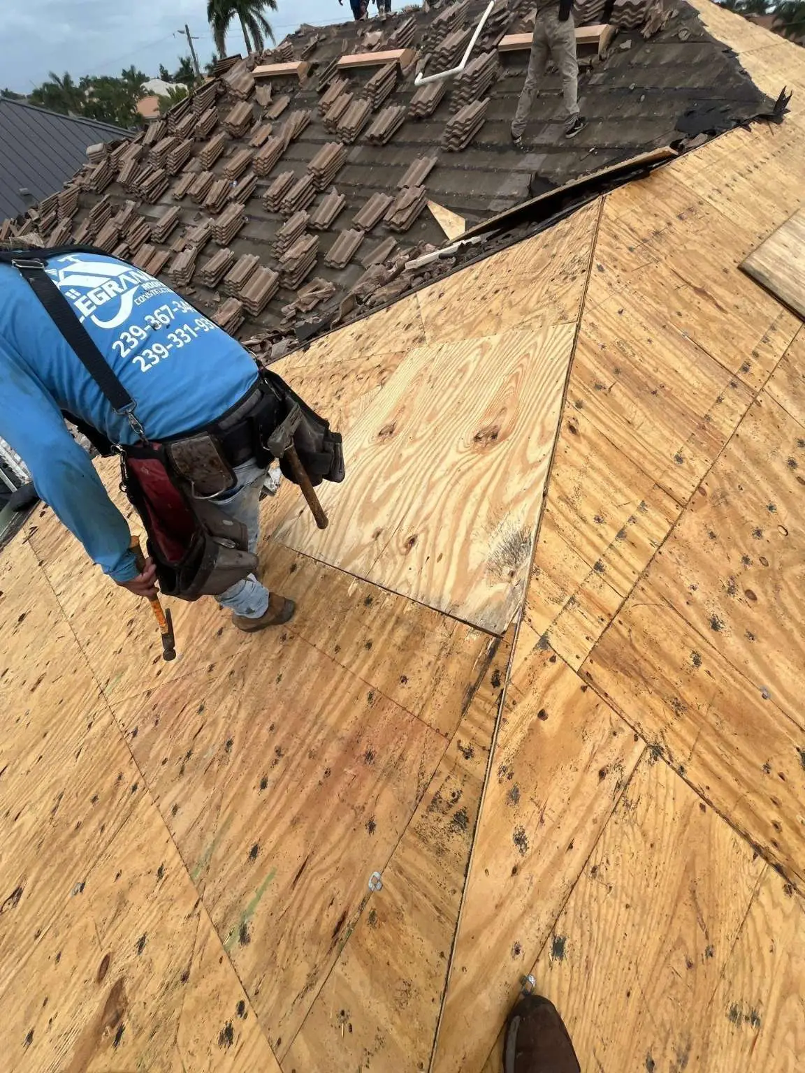 Legrand's Roofing technician stands on a freshly sheeted OSB and plywood roof deck during a complete tile reroof project.