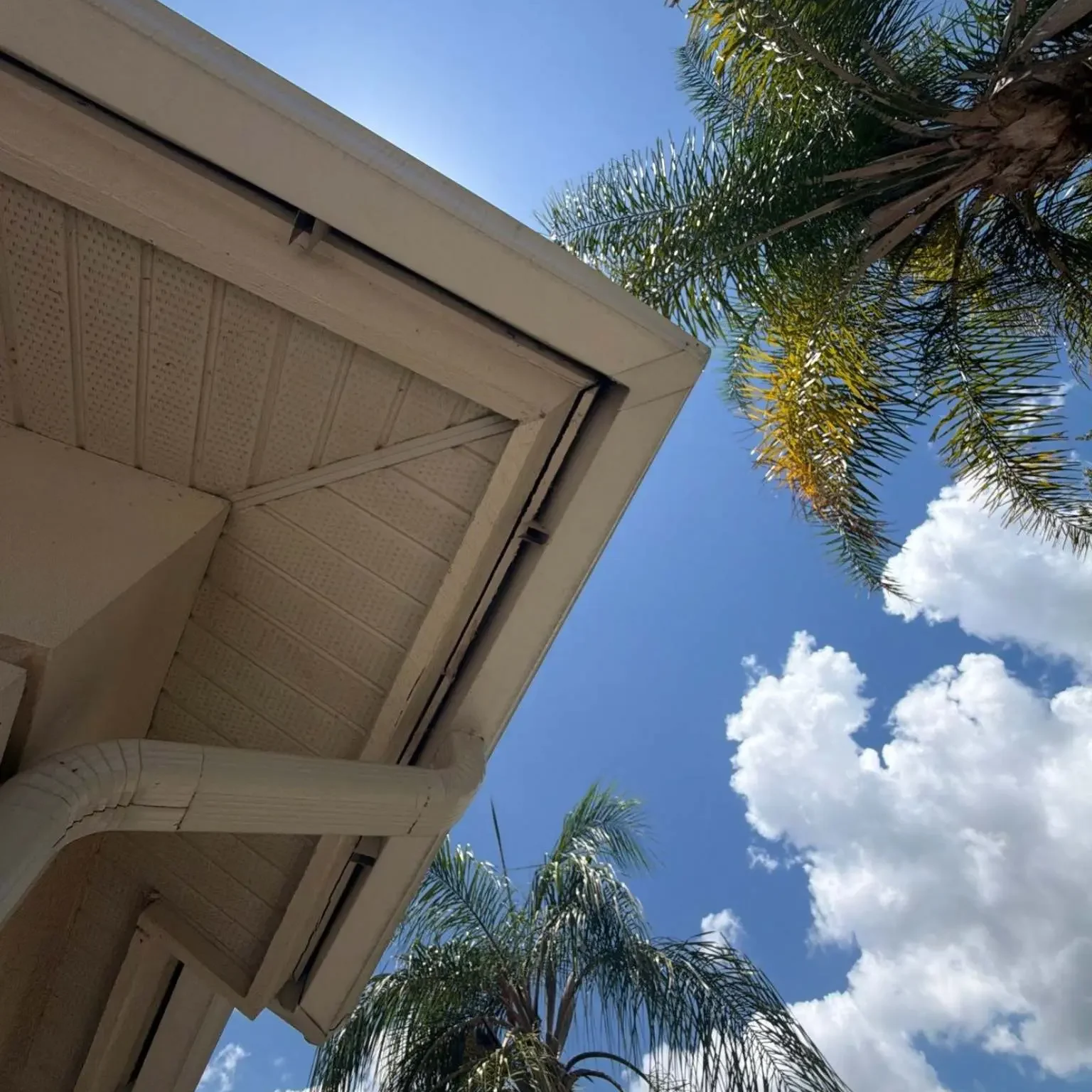 Low-angle perspective showing a white gutter system and corner downspout below a clear blue sky and palm tree on June 12.