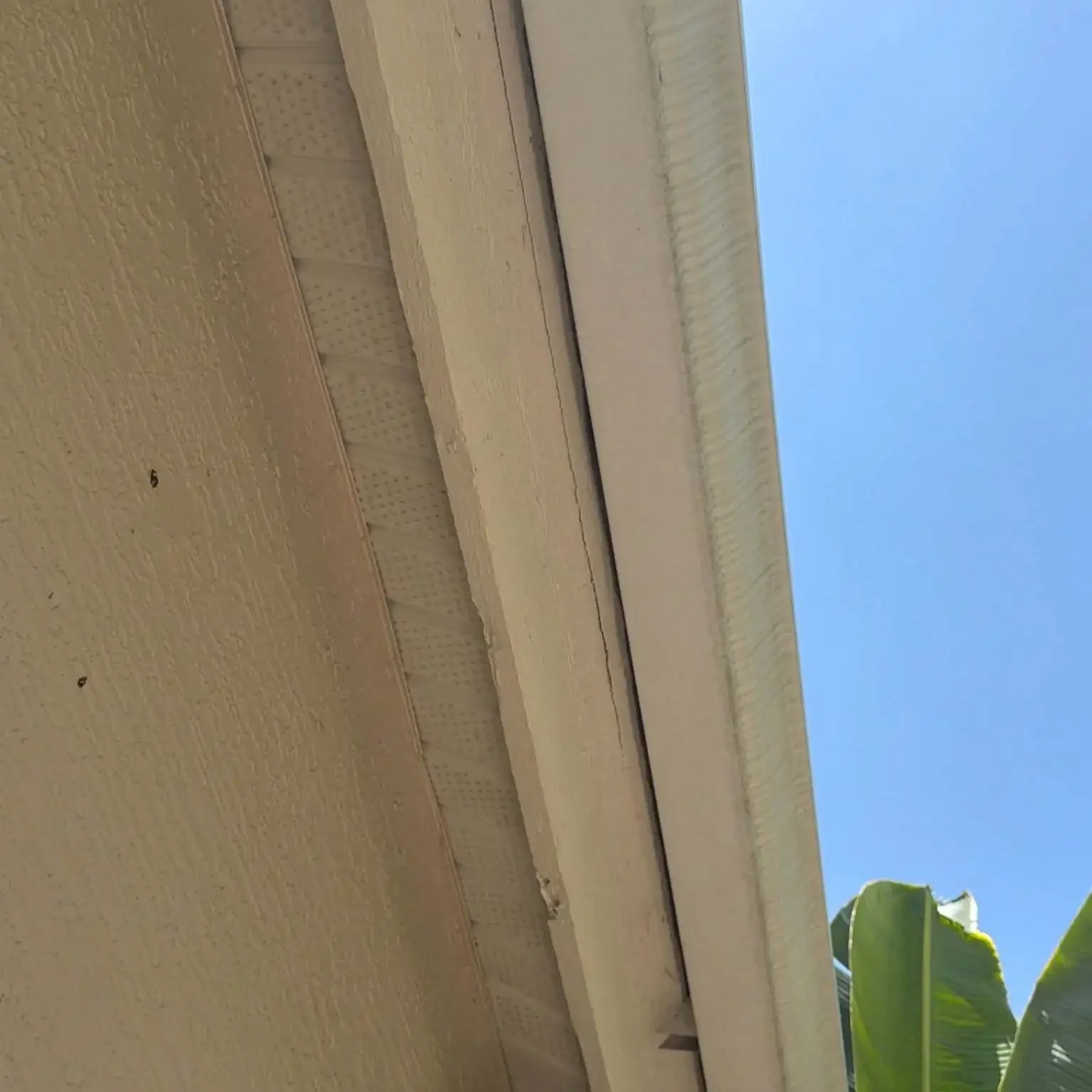 Looking up at a residential roof fascia board and vented soffit panels during an exterior system evaluation on June 12.